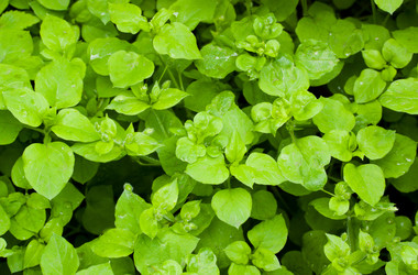 Similar image 507444