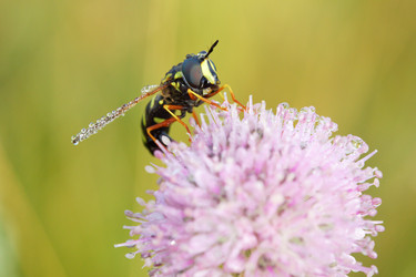 Similar image 507447