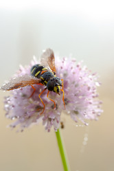 Similar image 507465