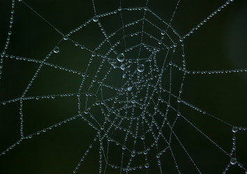 Similar image 507476