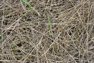 Similar image 507506