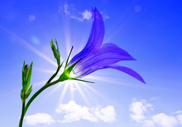 Similar image 507585