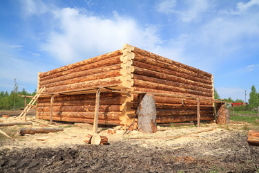 Similar image 507592