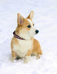 Similar image 507603