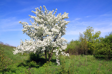 Similar image 507605