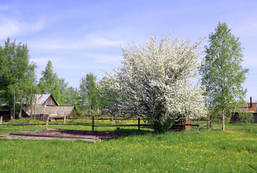 Similar image 507606