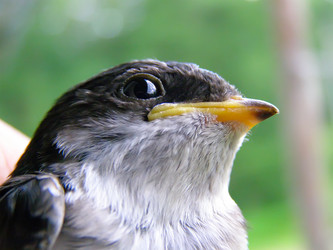 Similar image 507631