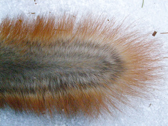 Similar image 507642