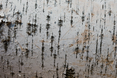 Similar image 507660