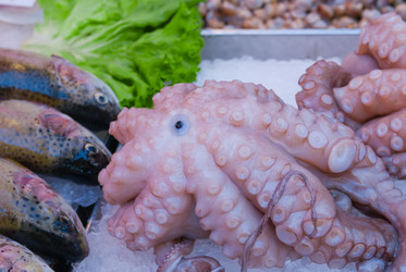 Similar image 507713