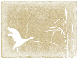 Similar image 507722