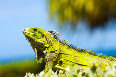 Similar image 507744