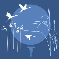 Similar image 507757