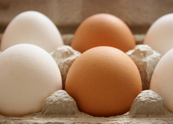 Similar image 507808