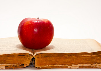 Similar image 507812