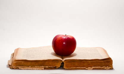 Similar image 507814