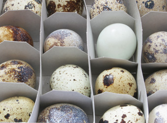 Similar image 507818