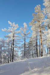 Similar image 507839