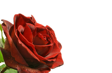 Similar image 507851