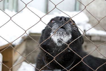 Similar image 507891