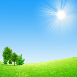 Similar image 507912