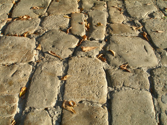 Similar image 507935