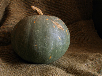 Similar image 507979