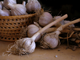 Similar image 507985