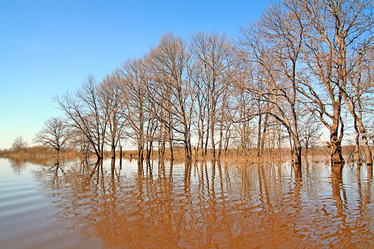 Similar image 507996