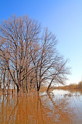 Similar image 507999