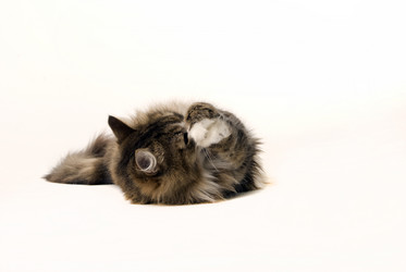 Similar image 508028