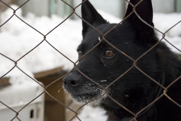 Similar image 508056