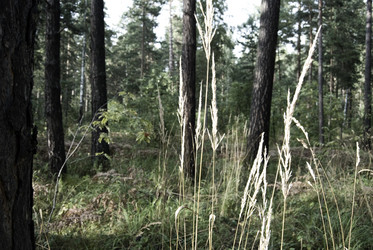 Similar image 508063