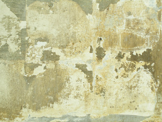 Similar image 508081