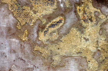 Similar image 508118