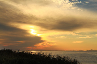 Similar image 508123