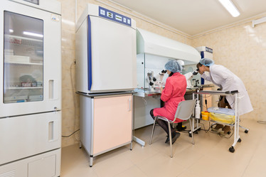 Similar image 508142