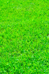 Similar image 508203