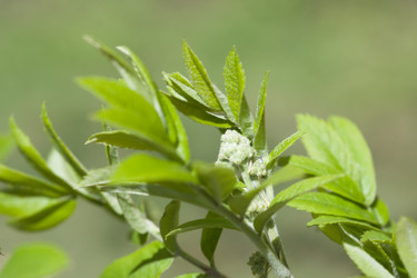 Similar image 508221