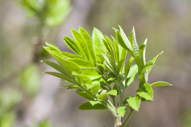 Similar image 508222