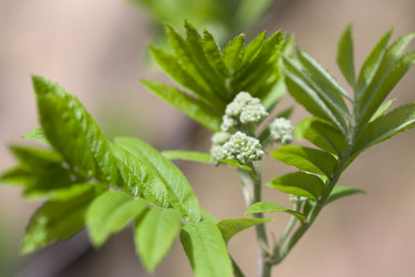 Similar image 508224