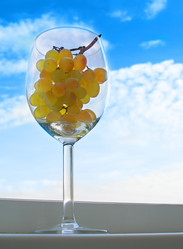 Similar image 508226