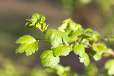 Similar image 508230