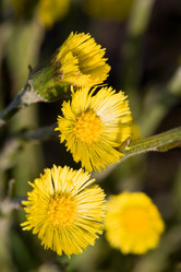 Similar image 508237