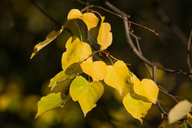 Similar image 508243