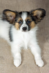 Similar image 508265