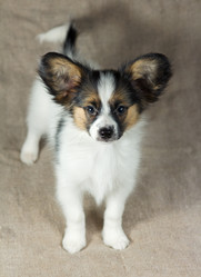 Similar image 508268