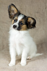 Similar image 508270