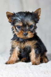 Similar image 508288