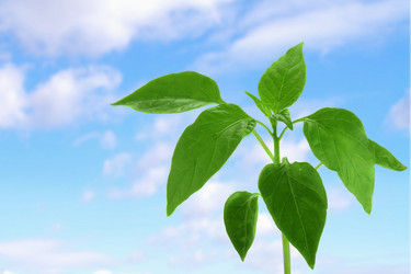 Similar image 508347